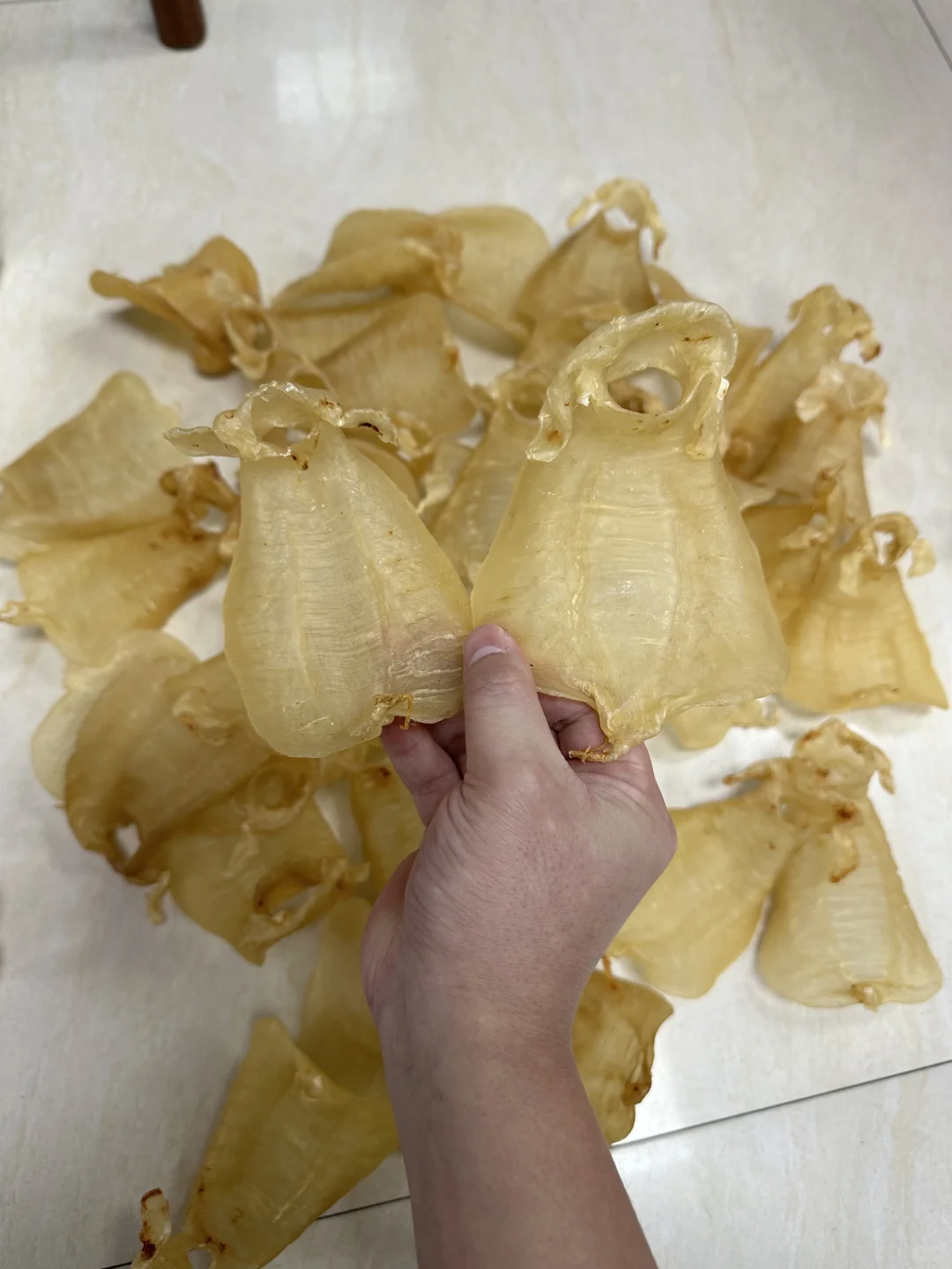 14头野生金兰赤嘴公，玻璃肉，雅！