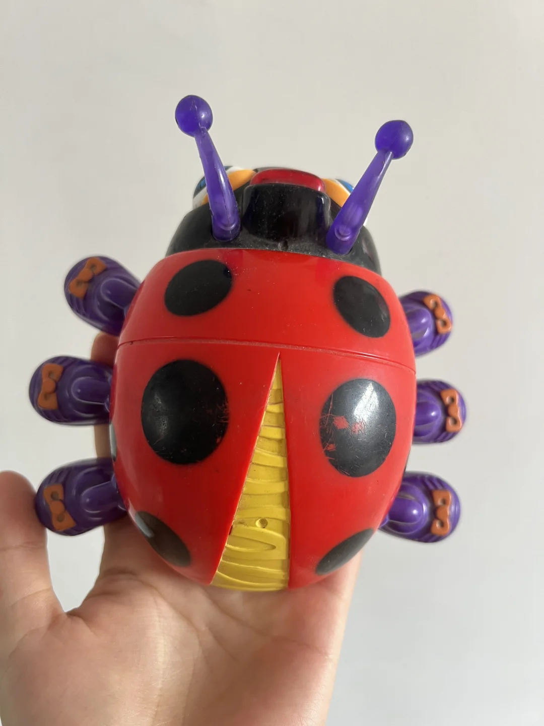 这只甲壳虫已经有26年了?