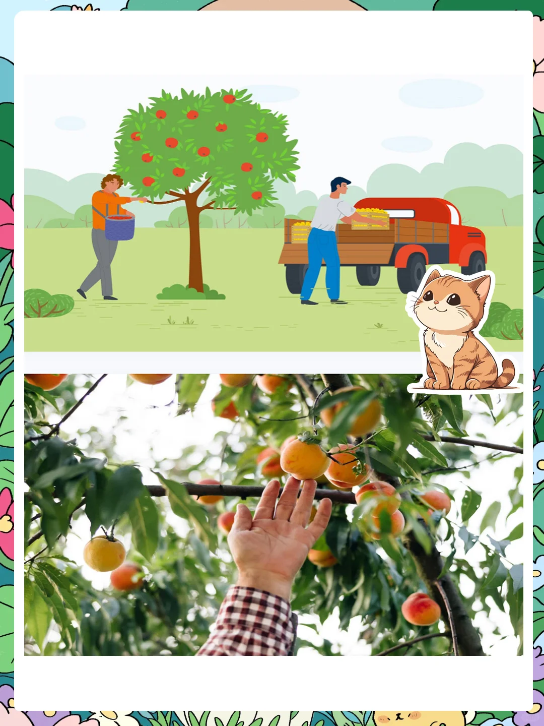 大班社会公开课《大丰收》感受丰收的喜悦