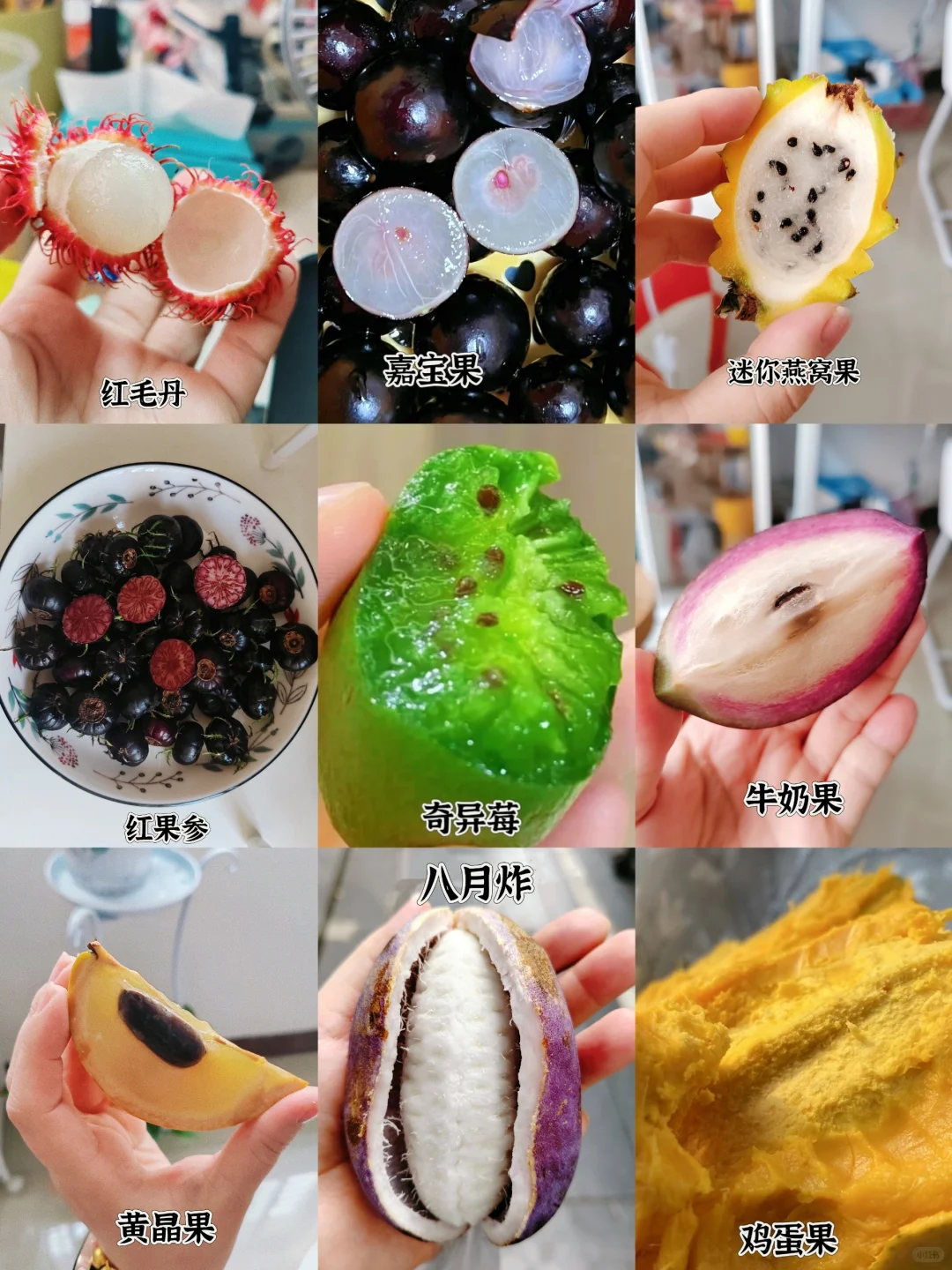 近期吃过的小众水果合集