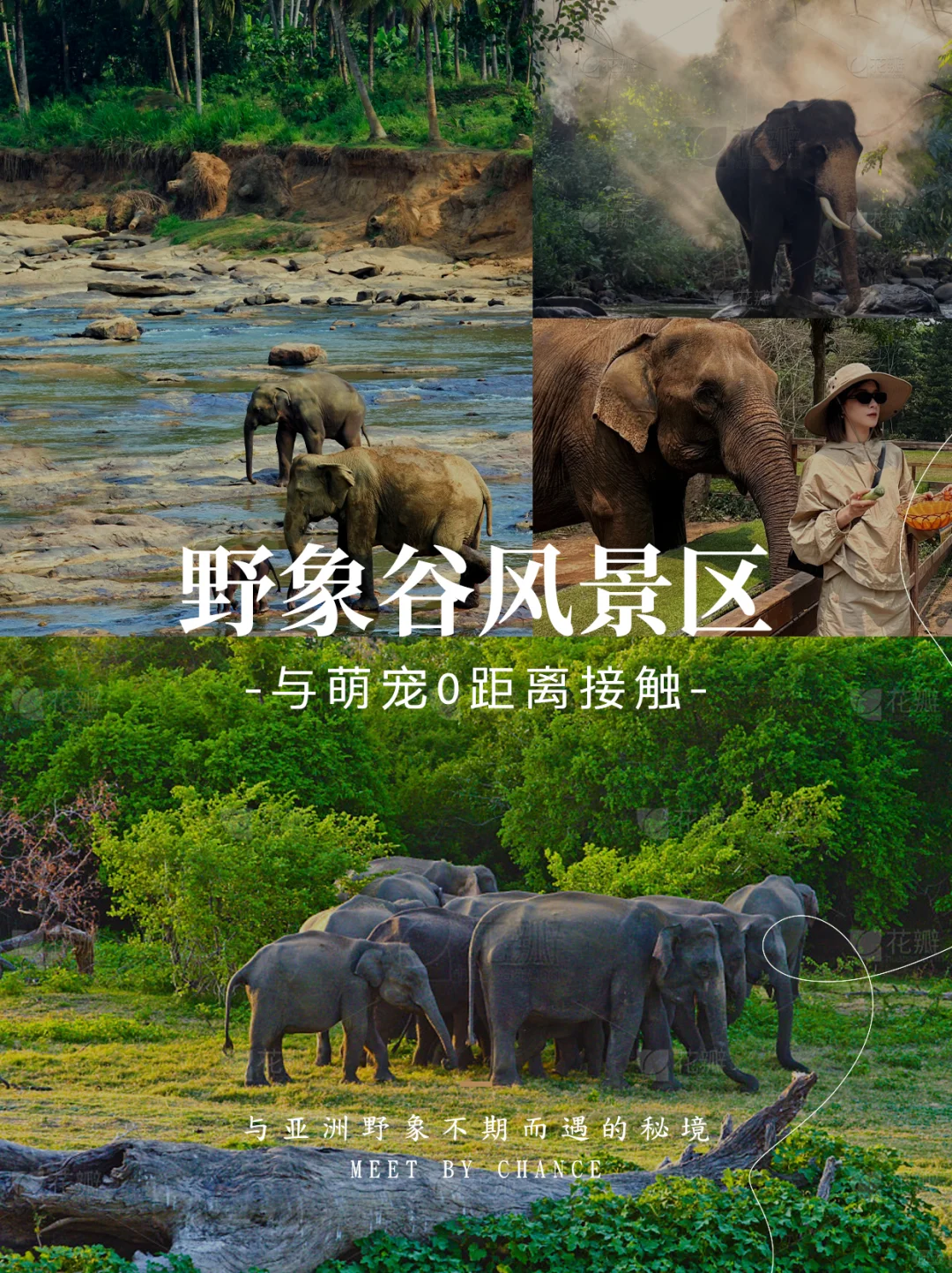 西双版纳丨人均1k+专车独享性价比逆天?