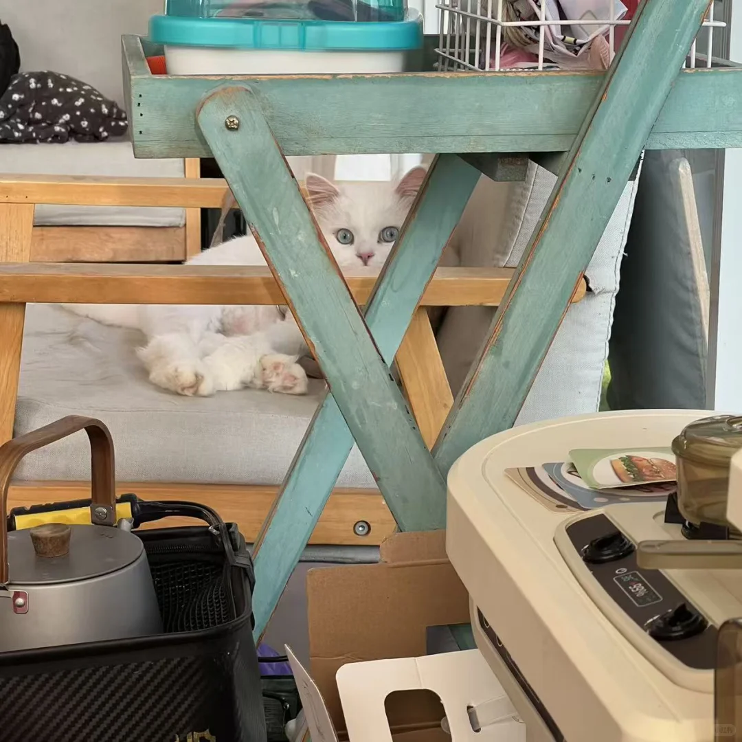 ：✨努力工作 好好生活 尽情快乐～