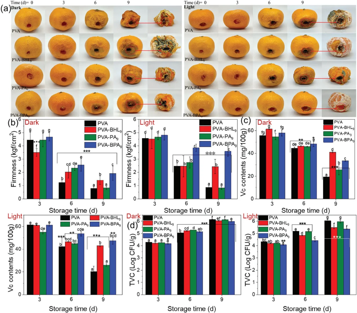 会发光的保鲜膜？抗菌黑科技✨
