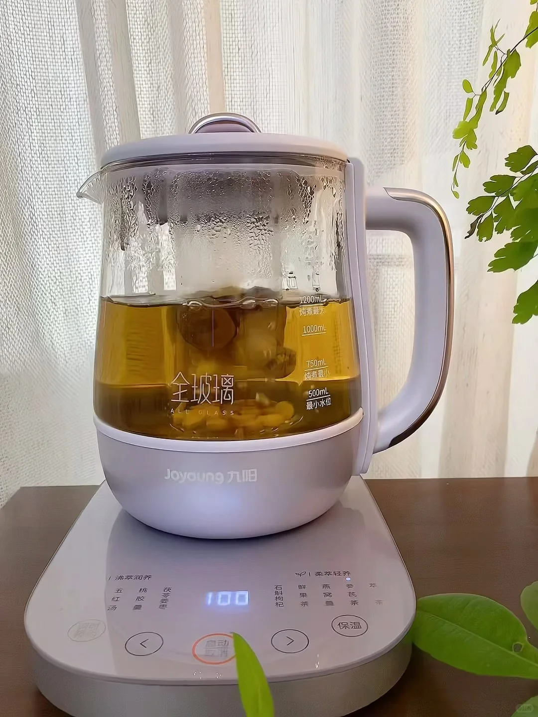 第一次get养生壶原来这么好用