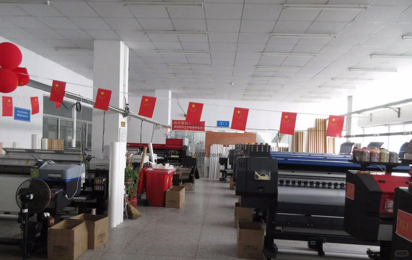 袋鼠考拉扎根扬州,匠心打造高品质毛绒玩具