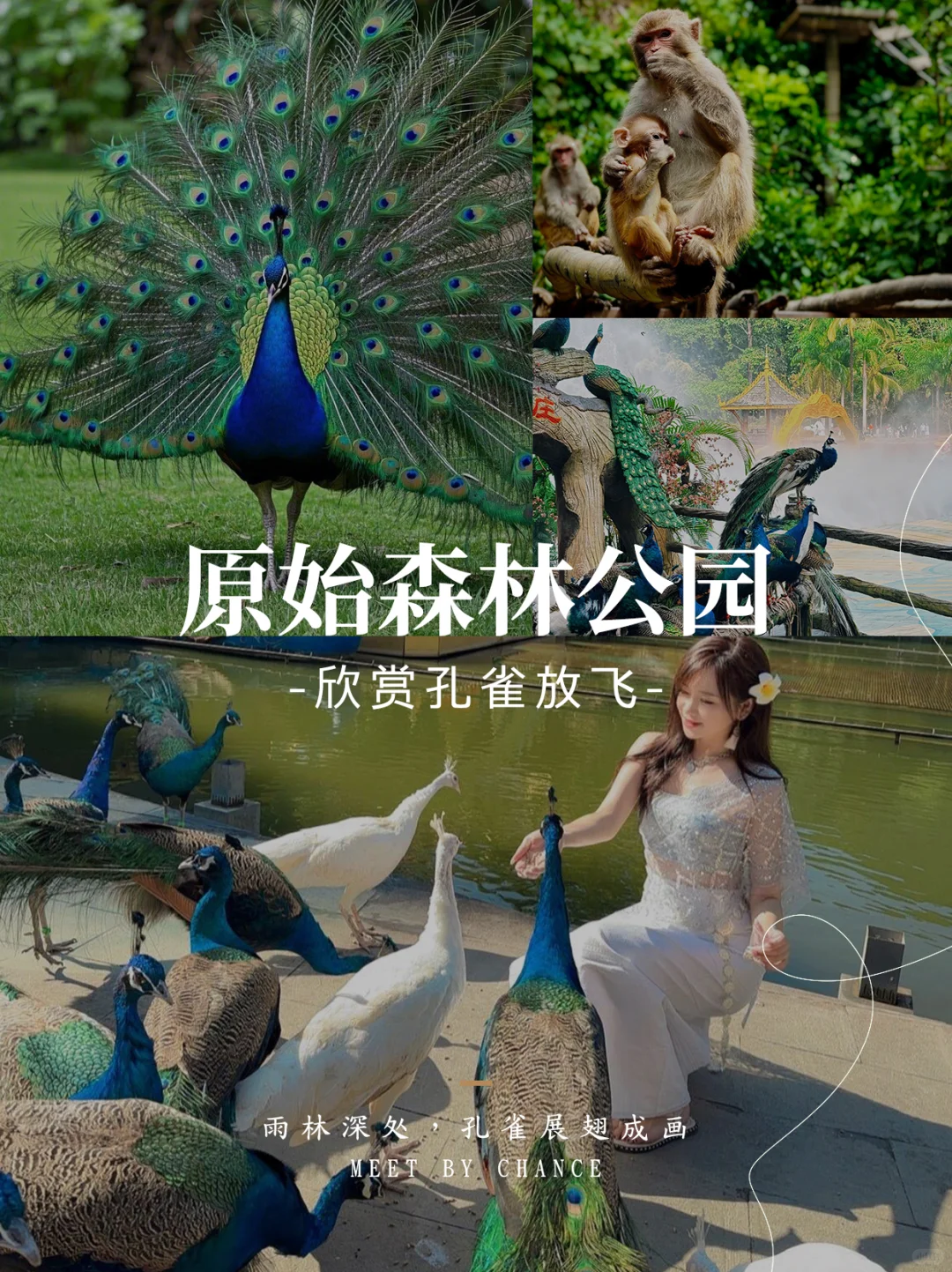 西双版纳丨人均1k+专车独享性价比逆天?