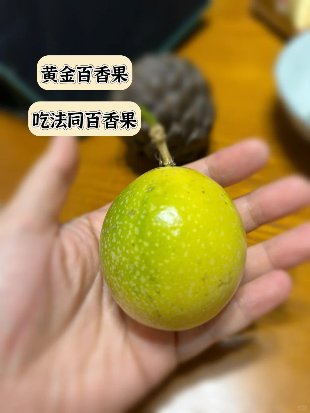 海南水果大冒险?