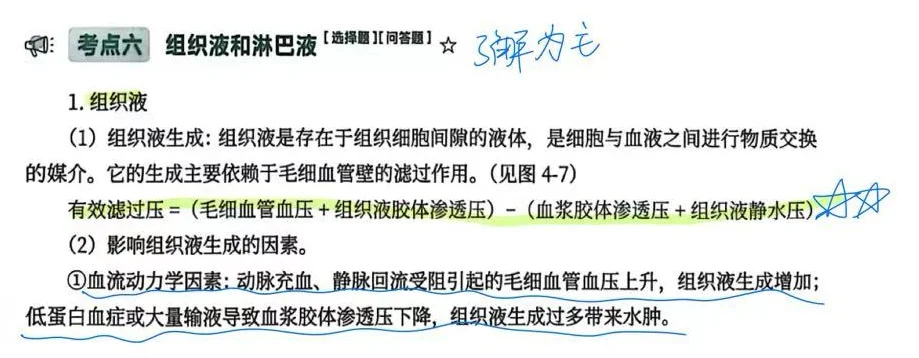 考研415生理带背day16