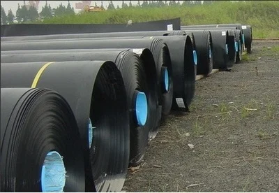 工程防渗怎么选？聚乙烯土工膜避坑指南