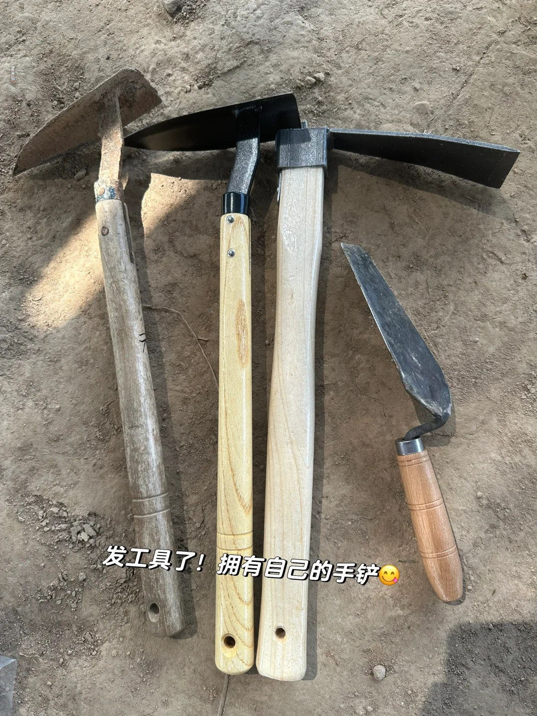 鸡叫城考古plog丨沉浸式挖土进行时?