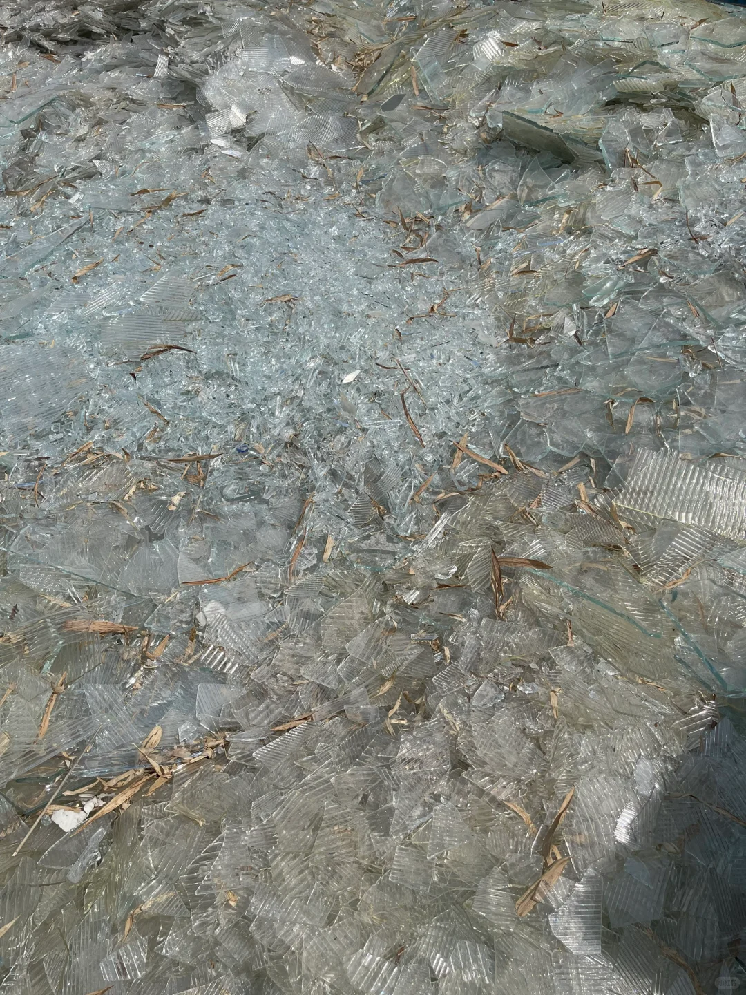 别奇怪！废旧玻璃可回收 大量收