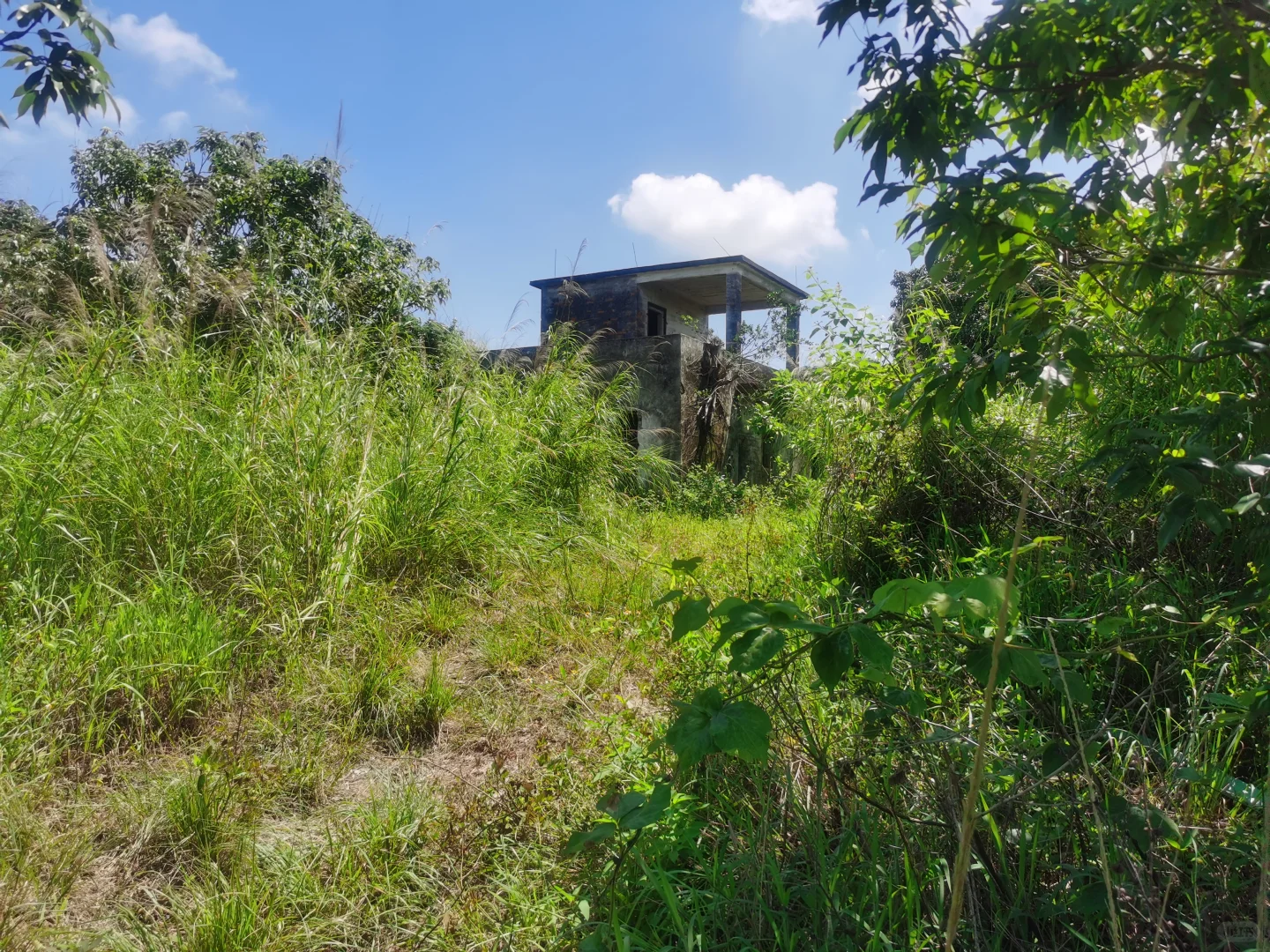 大量养殖的20亩果园