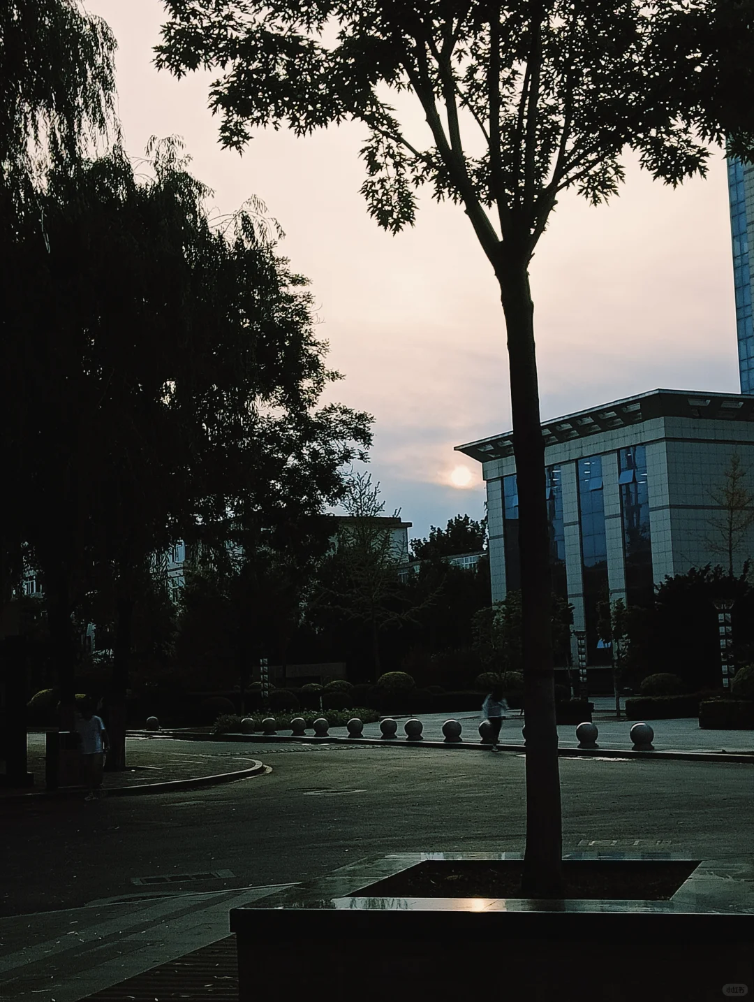 分享在林校一年感悟(致乐观积极的小同学)