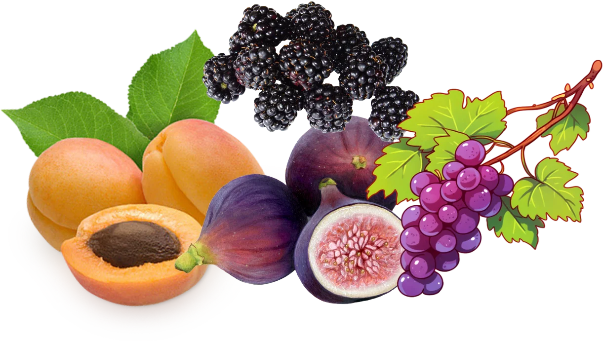 葡萄沟道具后续