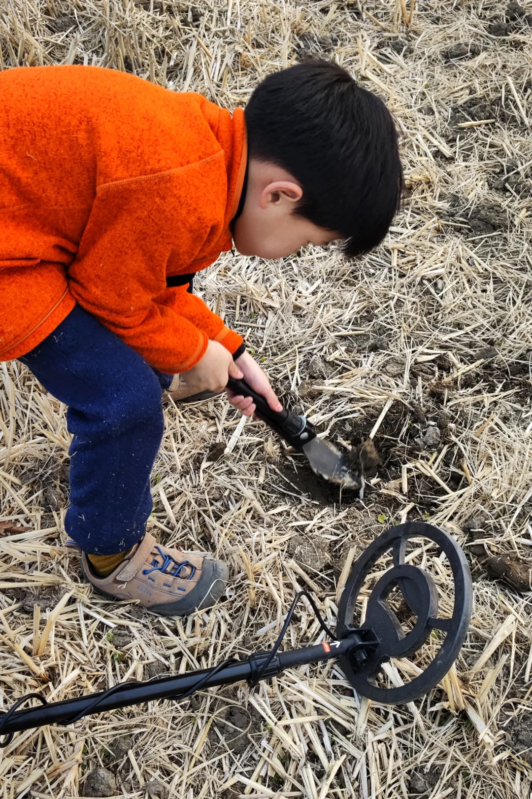 稻田探宝下午茶。