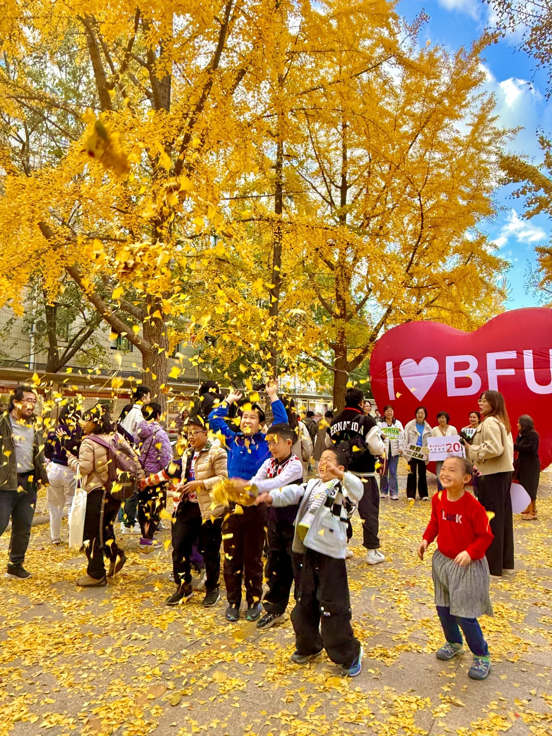 所有在北京的！请停止宅家立刻出门赏银杏?