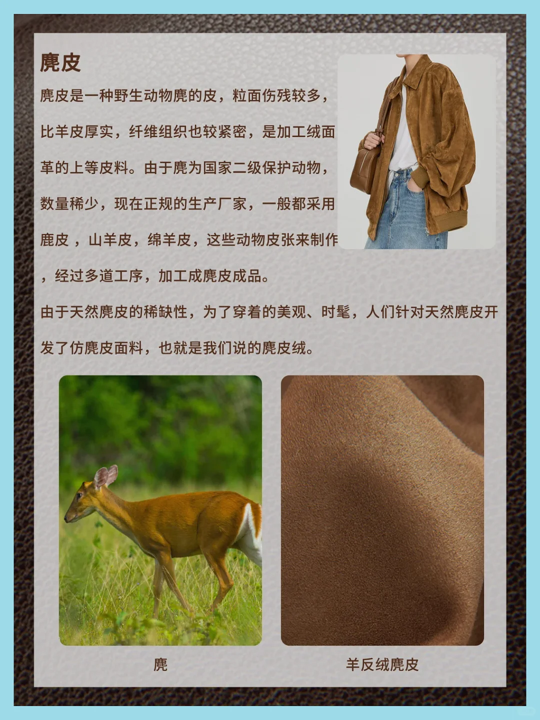 解析日常皮衣的常见面料