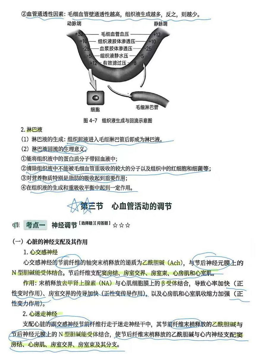 考研415生理带背day16