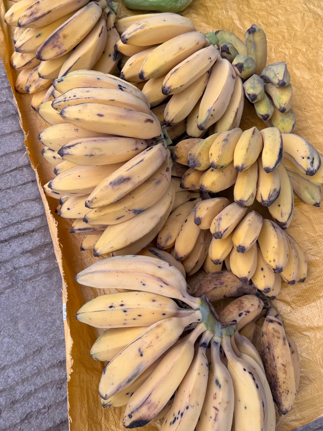 乡镇林业站工作日常｜巡山 赶集 闲适的一天