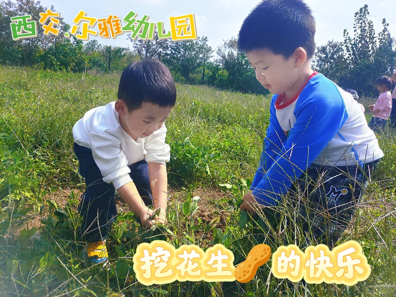 ?稻花香里说丰年、拾秋?