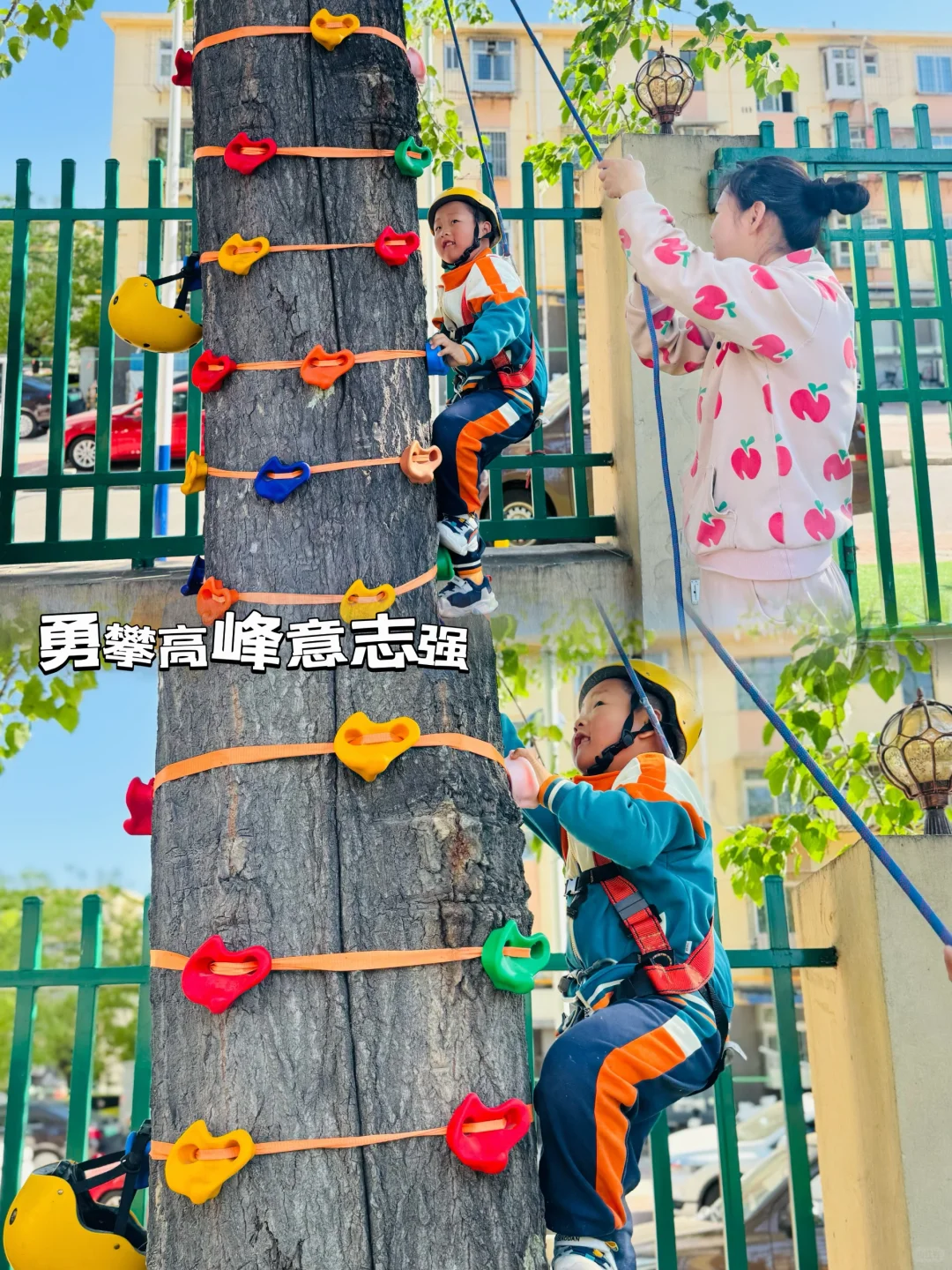 唐山牛苹果幼儿园户外区域大揭秘|解读平面