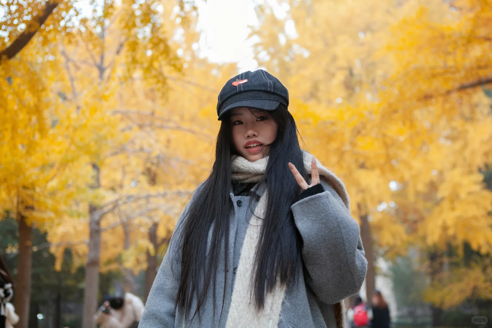 北林大三｜宝利来和银杏大道的适配度