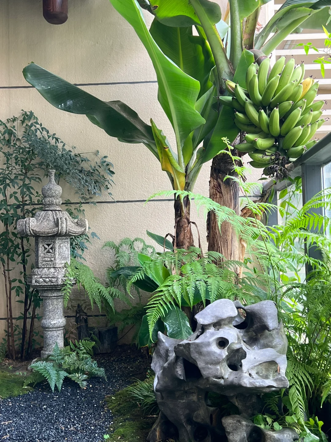 一年一结果,焦虑远离我