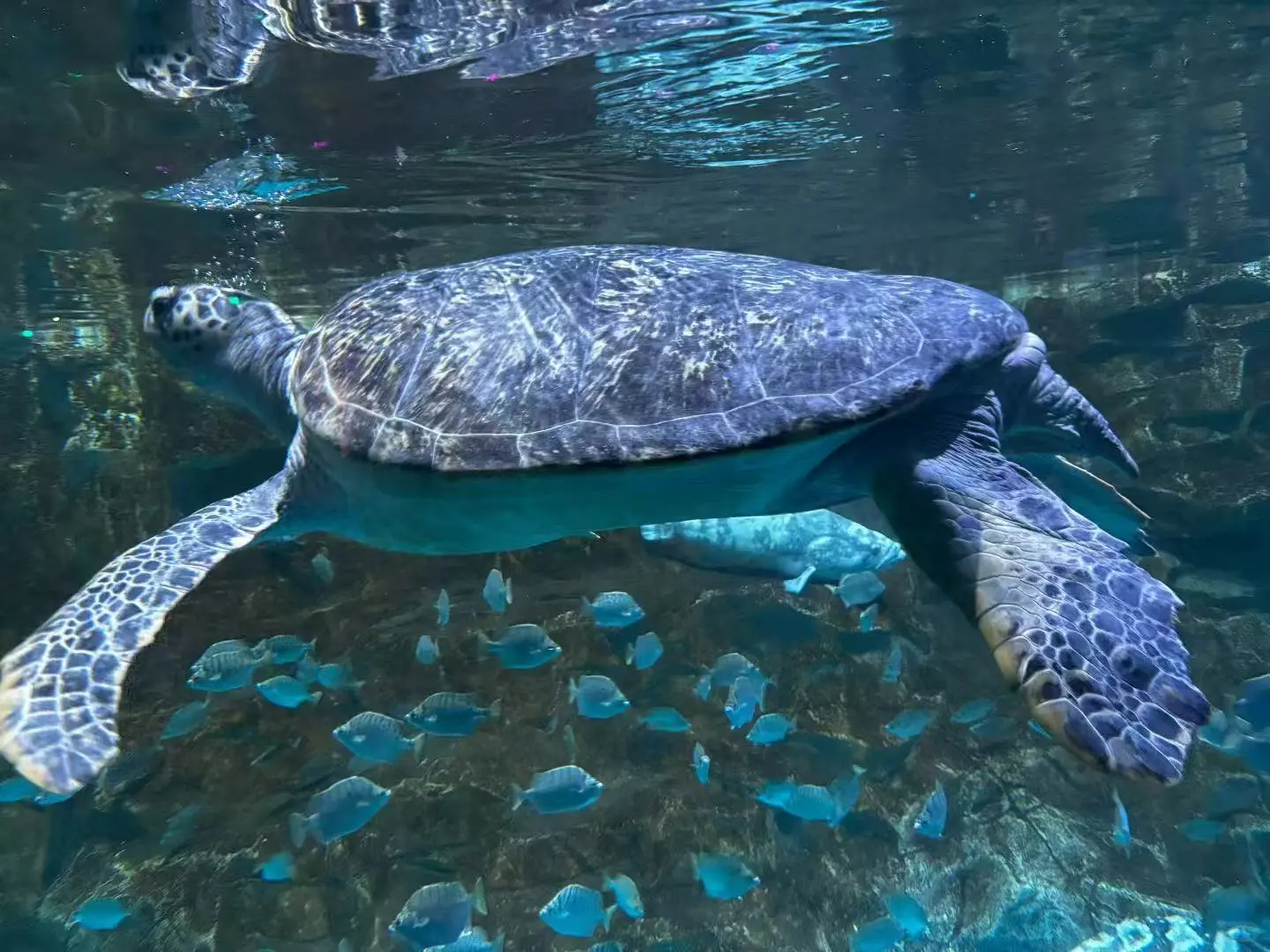 ?变革者之周研学之旅：山东青岛