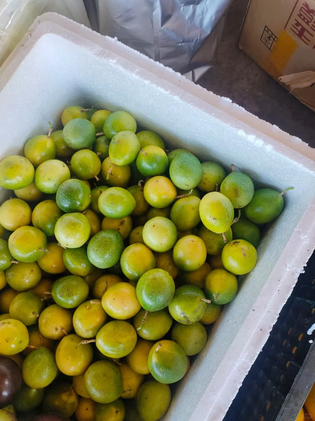 知道水果最多的童鞋送神秘奖品一份～