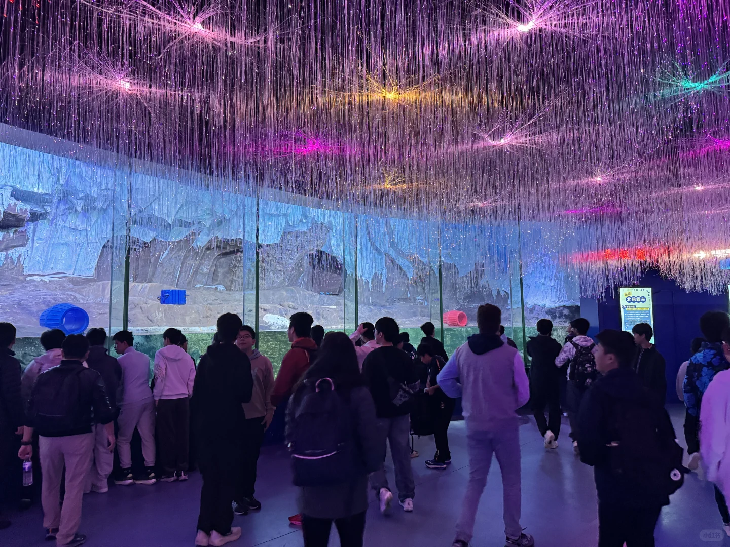 ?变革者之周研学之旅：山东青岛