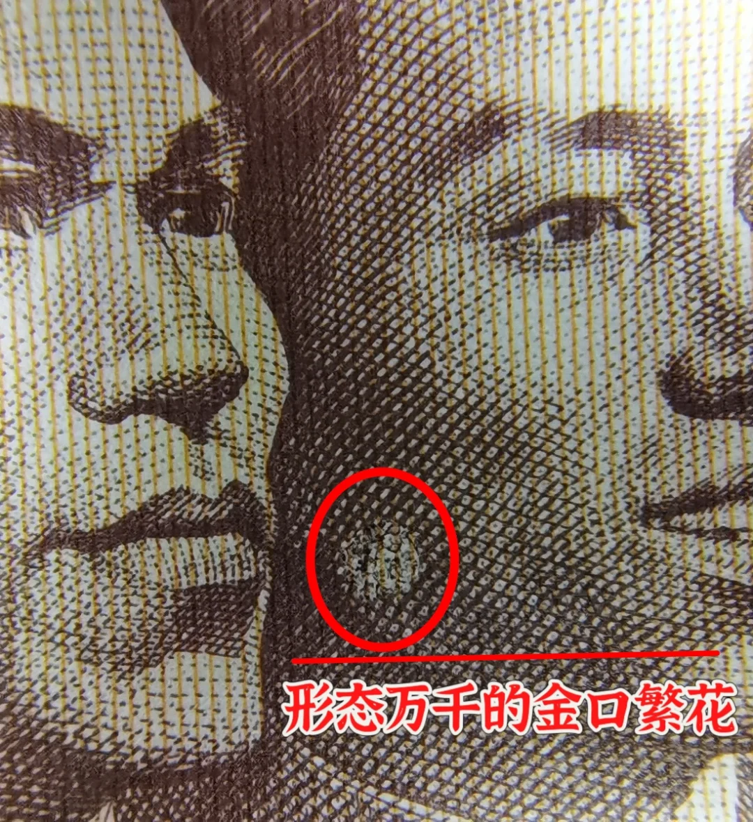 8001UH6433:一枚纸币上的文明褶皱…