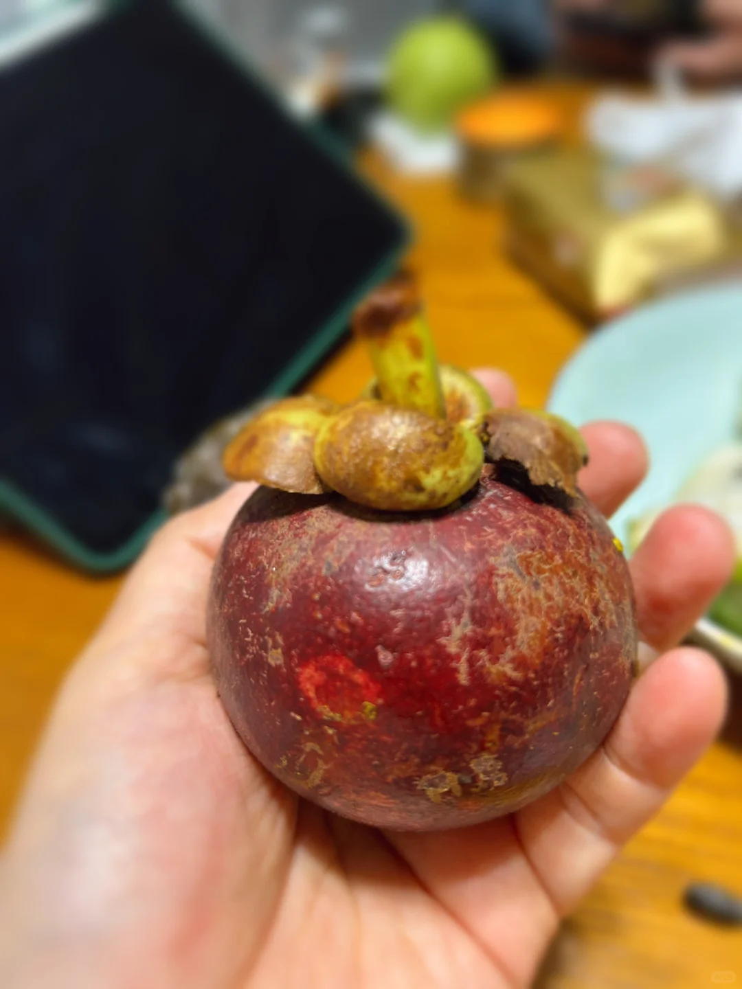 海南水果大冒险?