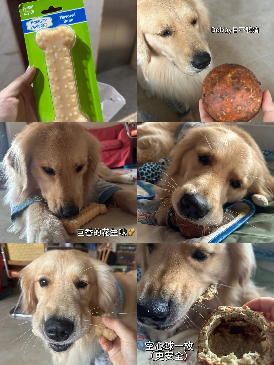 ?均价20+的Dobby玩具分享2.0?｜啃咬互动