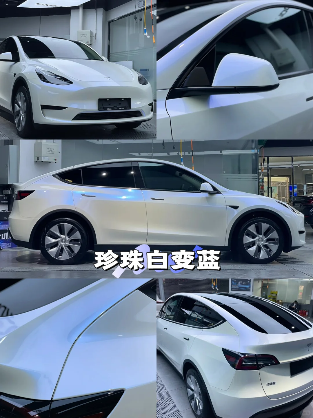 特斯拉改色｜会变色的白才叫高级?