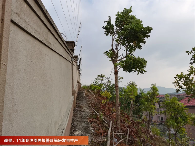 安全升级！电子围栏安装工程揭秘?