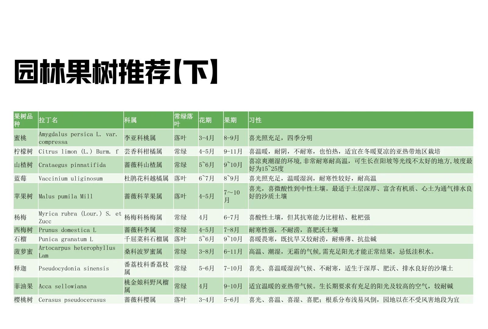 常用园林果树【下】