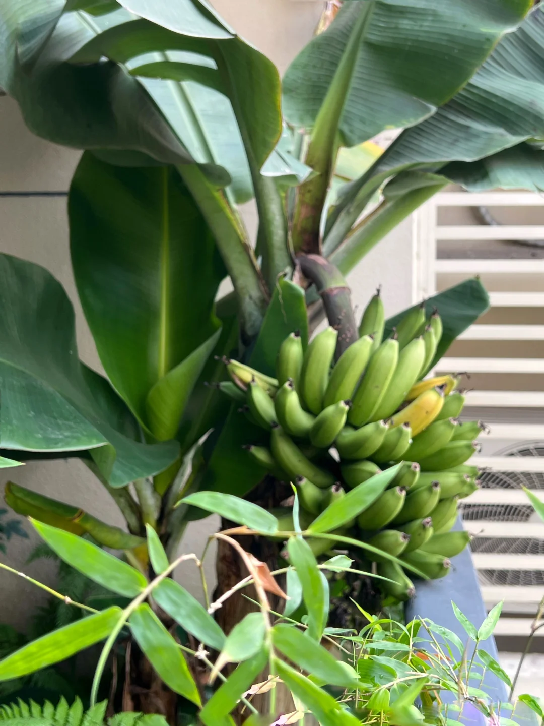 一年一结果,焦虑远离我