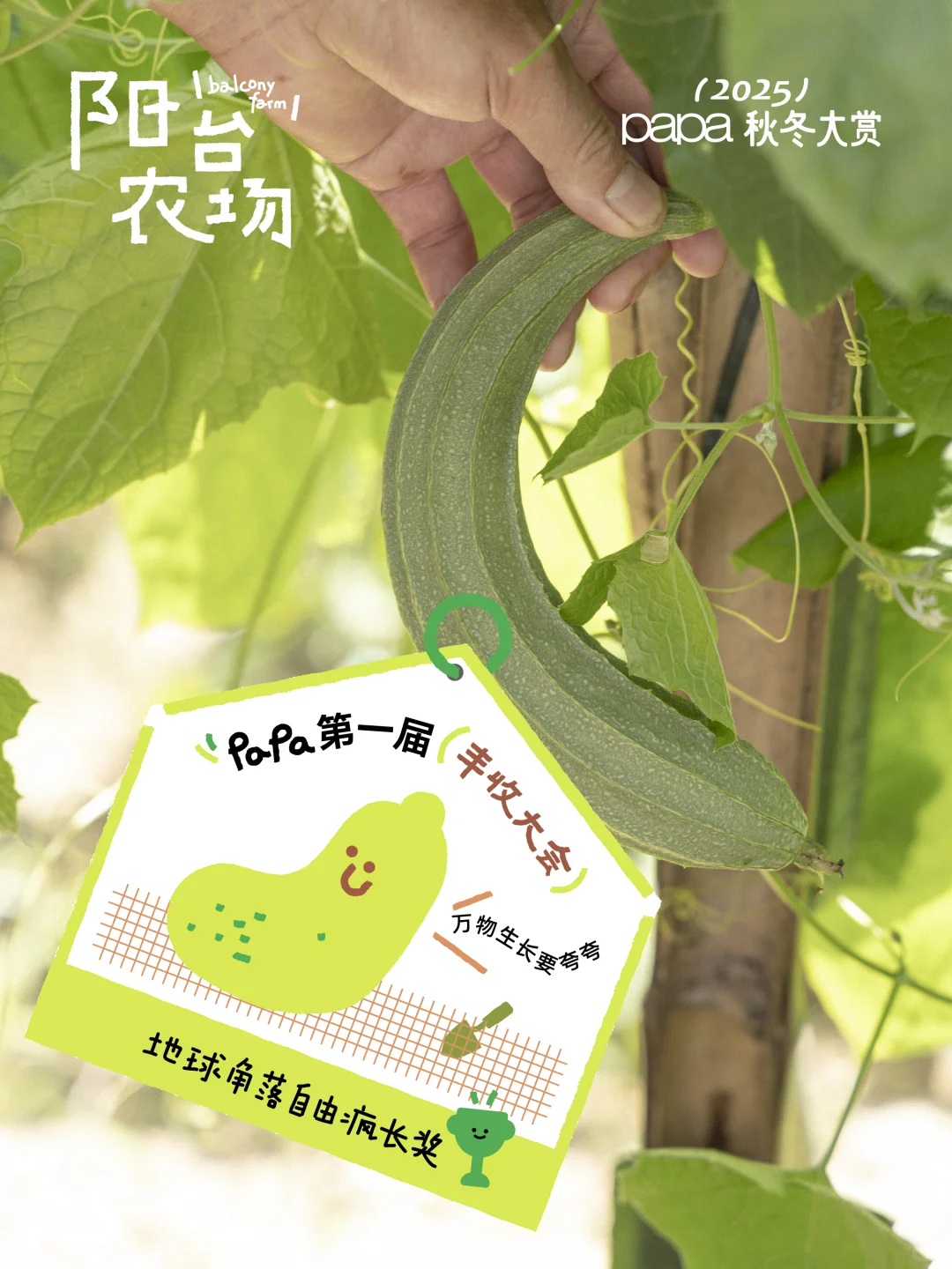 庆祝丰收，给瓜果蔬菜颁个奖?