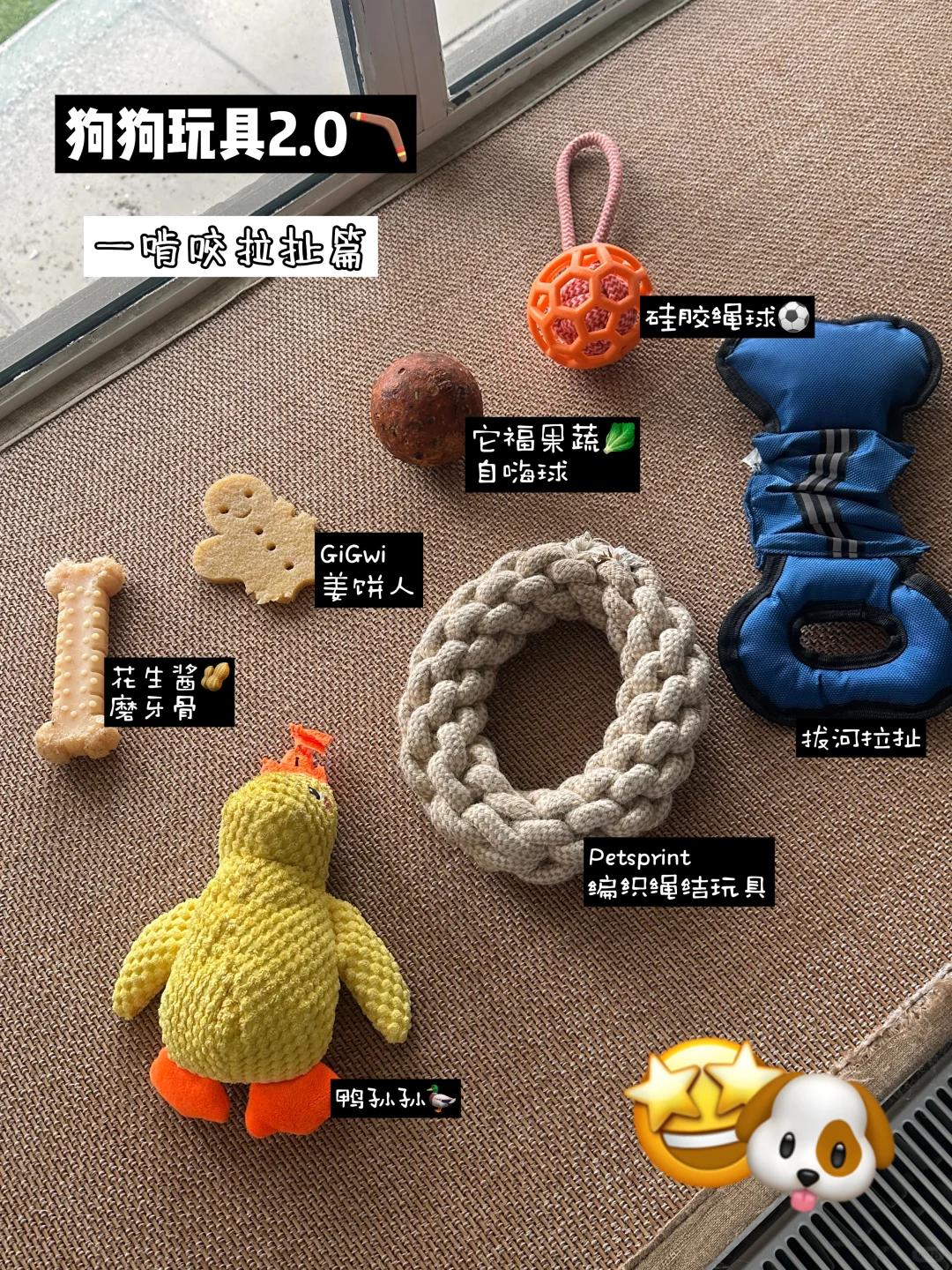 ?均价20+的Dobby玩具分享2.0?｜啃咬互动