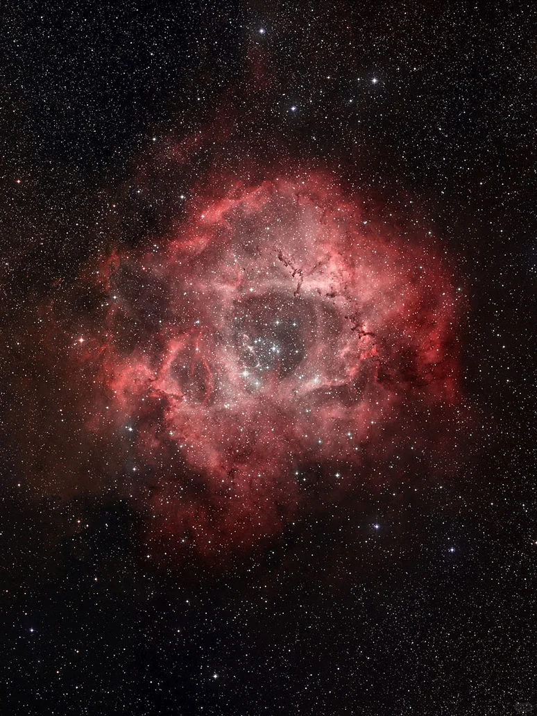 5200光年外的永生玫瑰