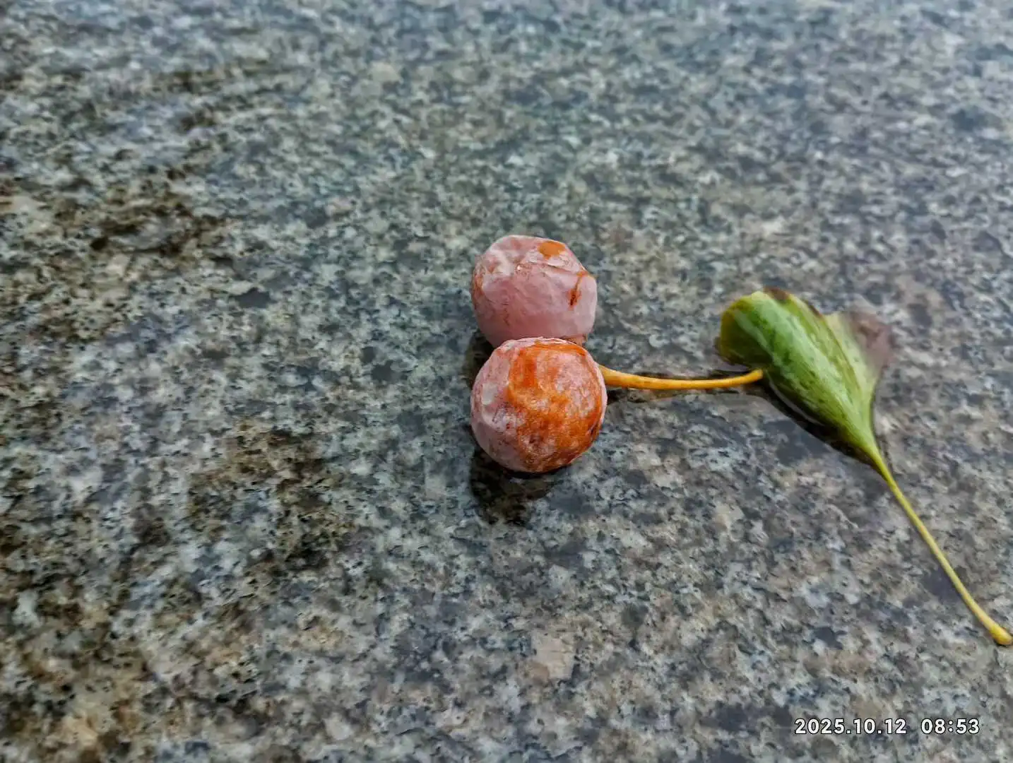 秋日渭北华原【摄影陈耀杰】