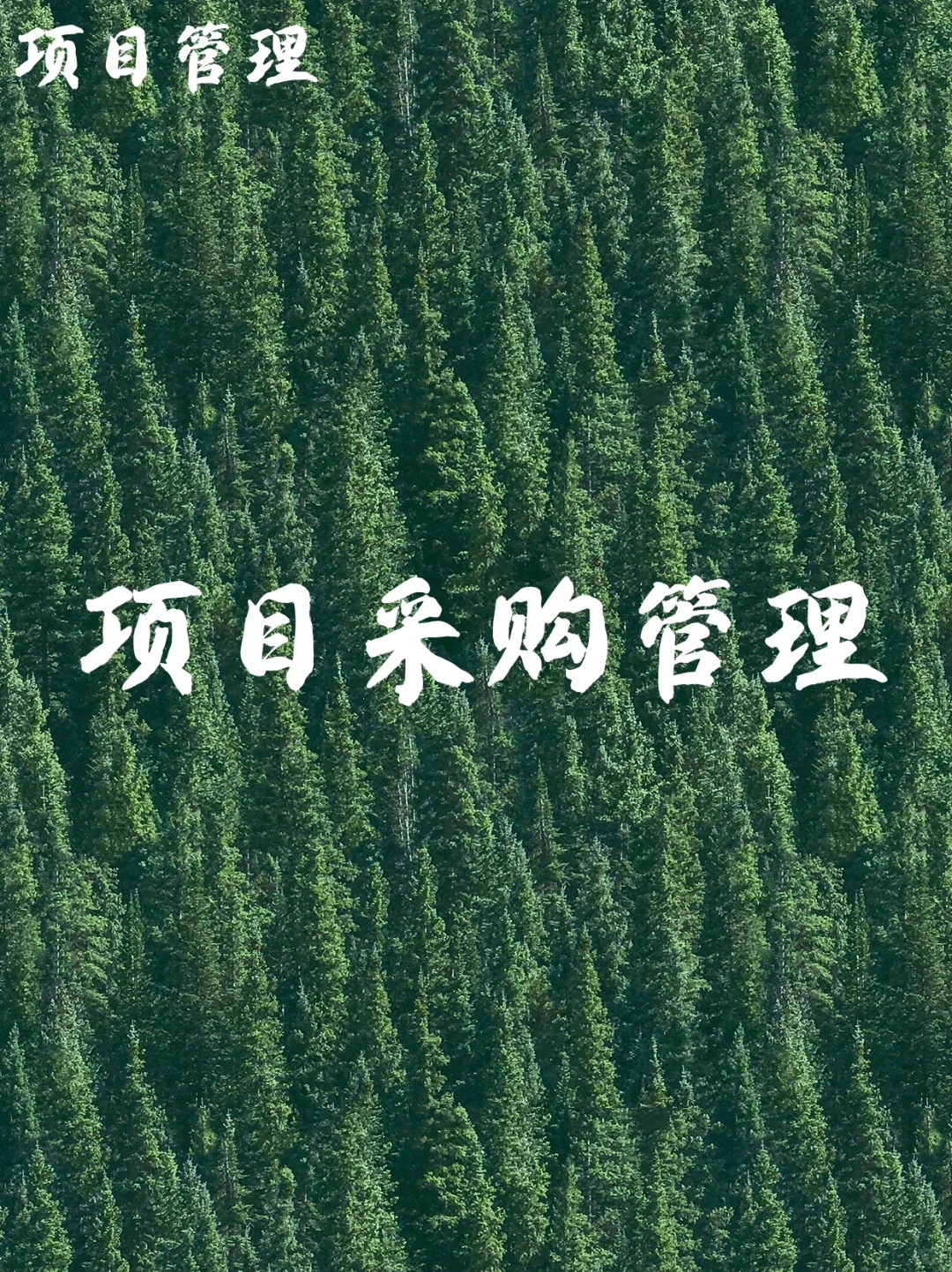 什么是项目采购管理❓需要做什么❓