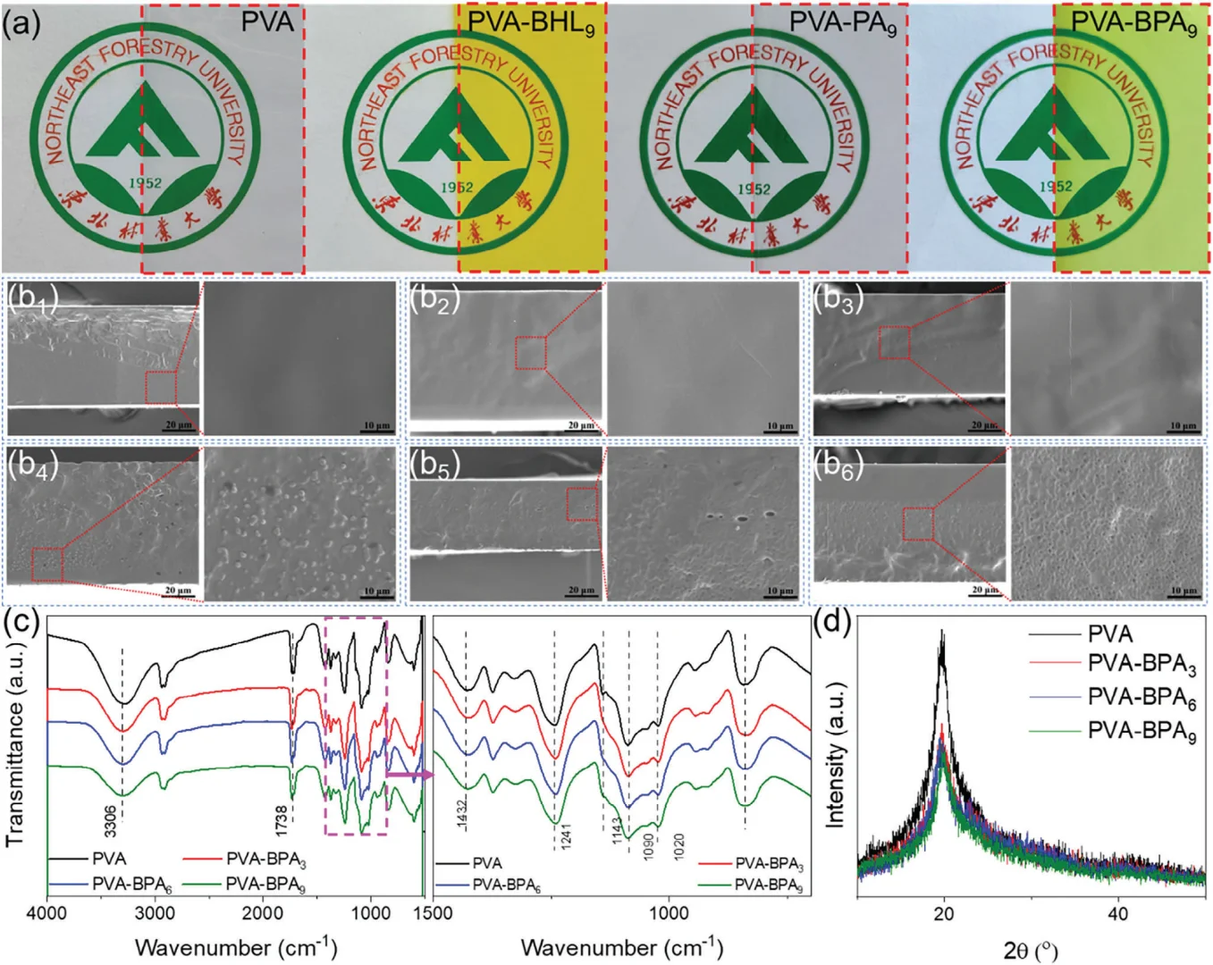 会发光的保鲜膜？抗菌黑科技✨
