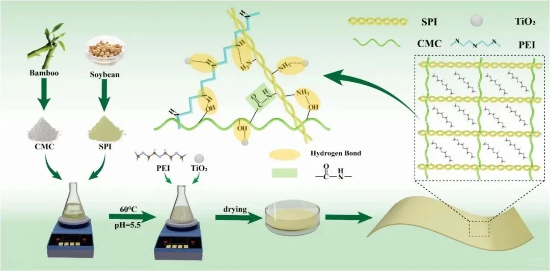 【学术聚焦】高性能生物基复合薄膜！