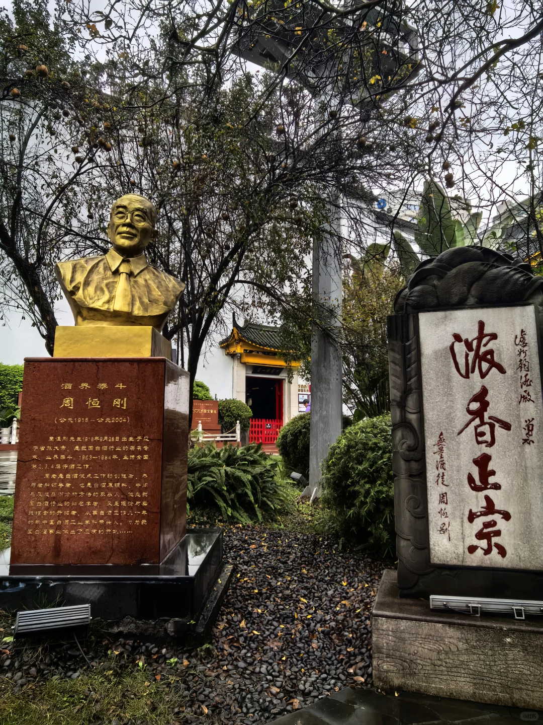 长江黄河自驾day27