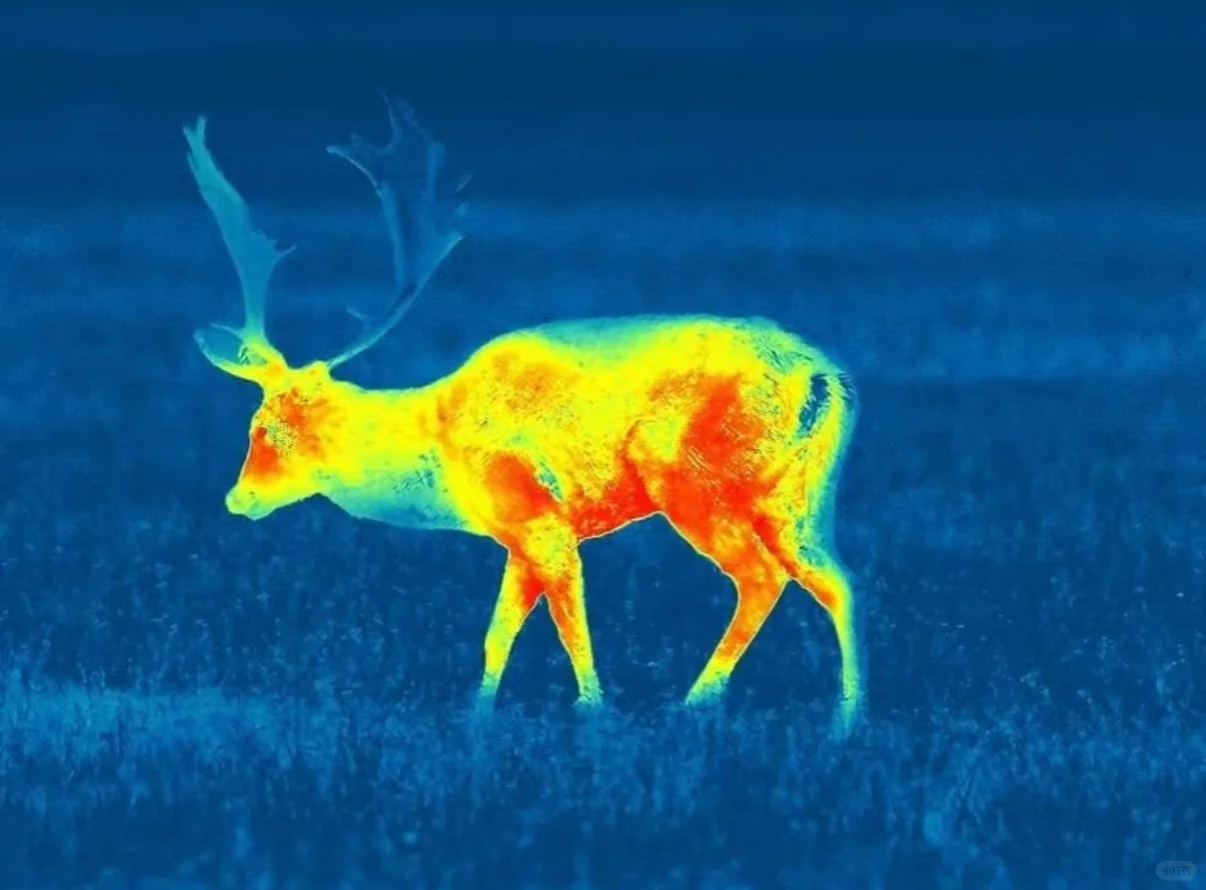 红外热成像技术在各个领域的应用