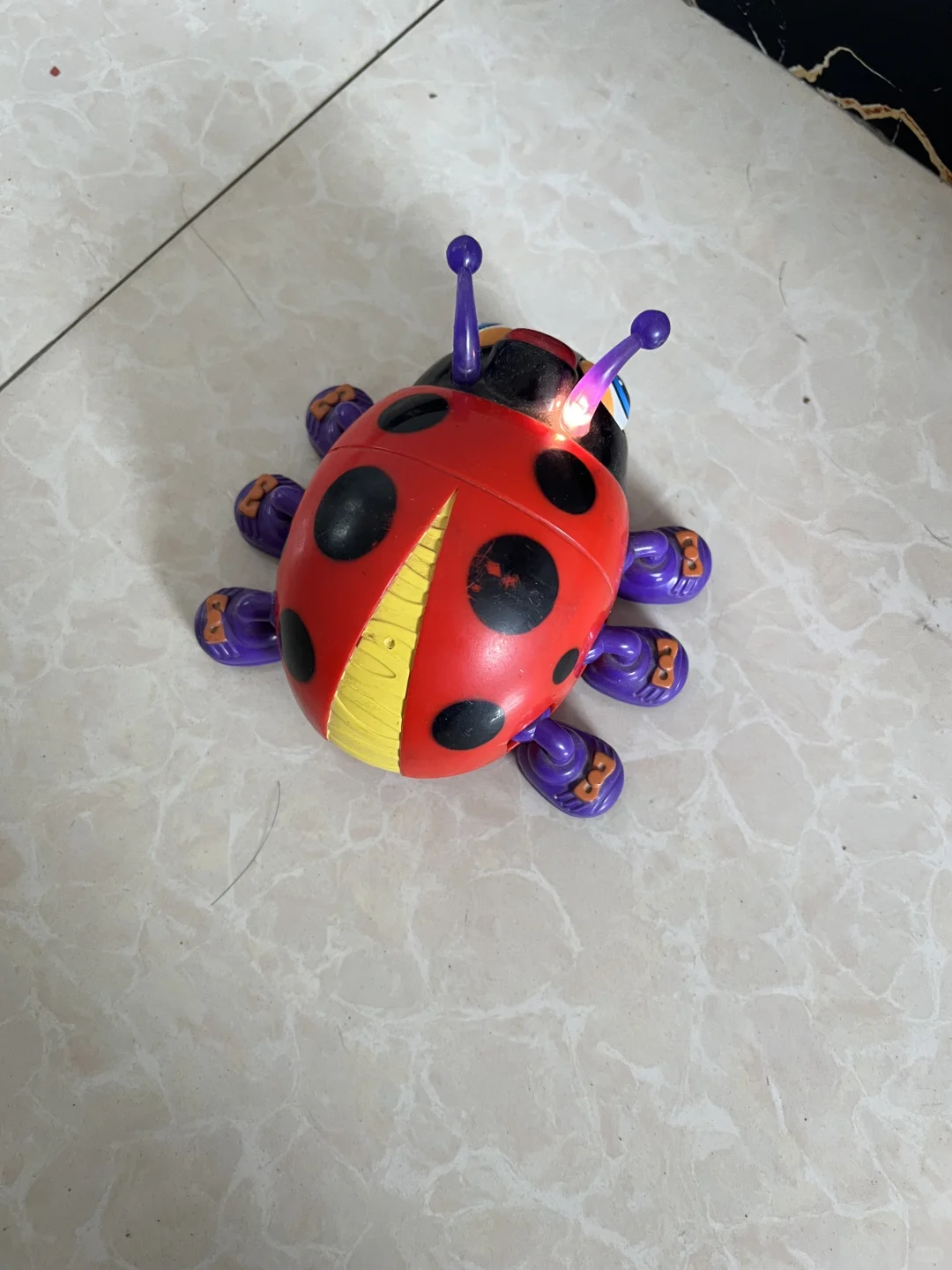 这只甲壳虫已经有26年了?