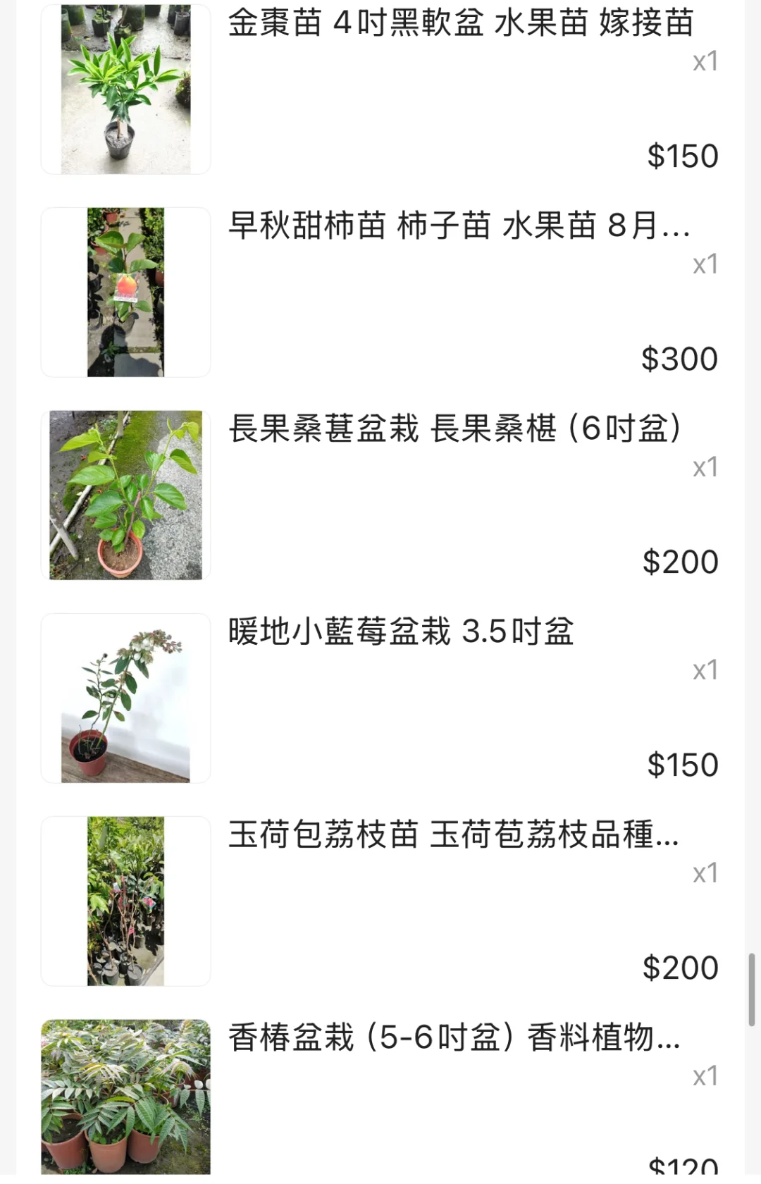 我的快樂農場擁有了30多顆果樹