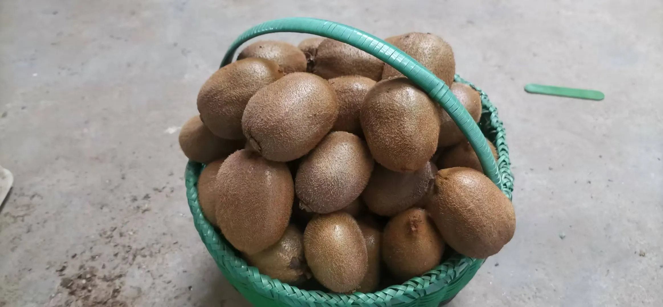 上新上新，自家果园包邮