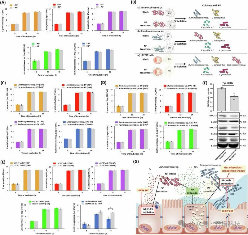 微塑料+转录组，揭示纳米塑料危害肠道健康新